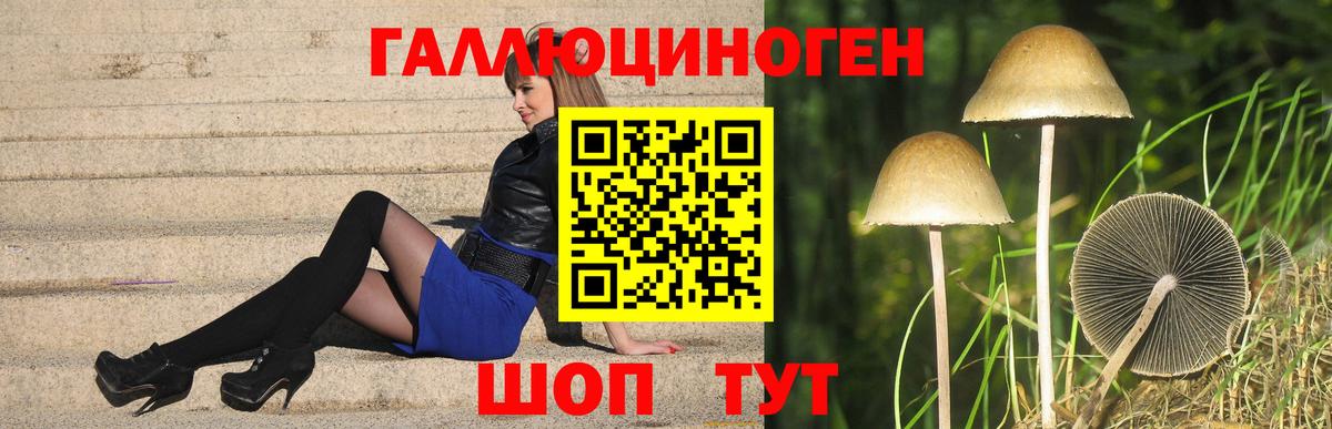 Псилоцибиновые грибы мицелий  Вход с VPN  Архангельск 