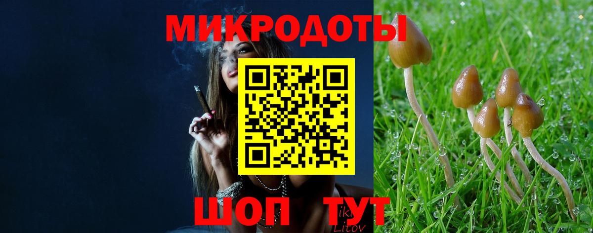 Галлюциногенные грибы прущие грибы Архангельск